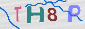 キャプチャ画像